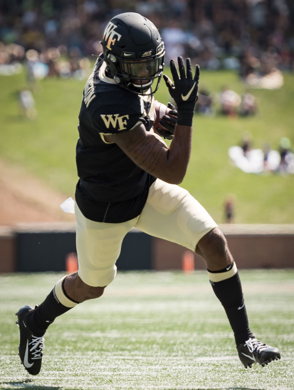 Wake Forest Elon Football
